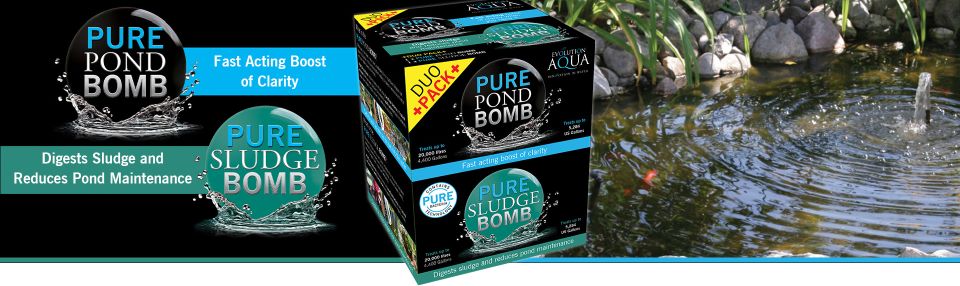 bakterie na bahno v jezírku